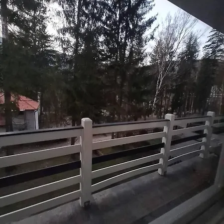 Miniszteri House BaileTusnad